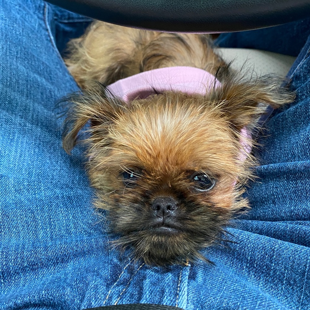 Meet your Posher, Glenn